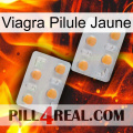 Viagra Yellow Pill 25